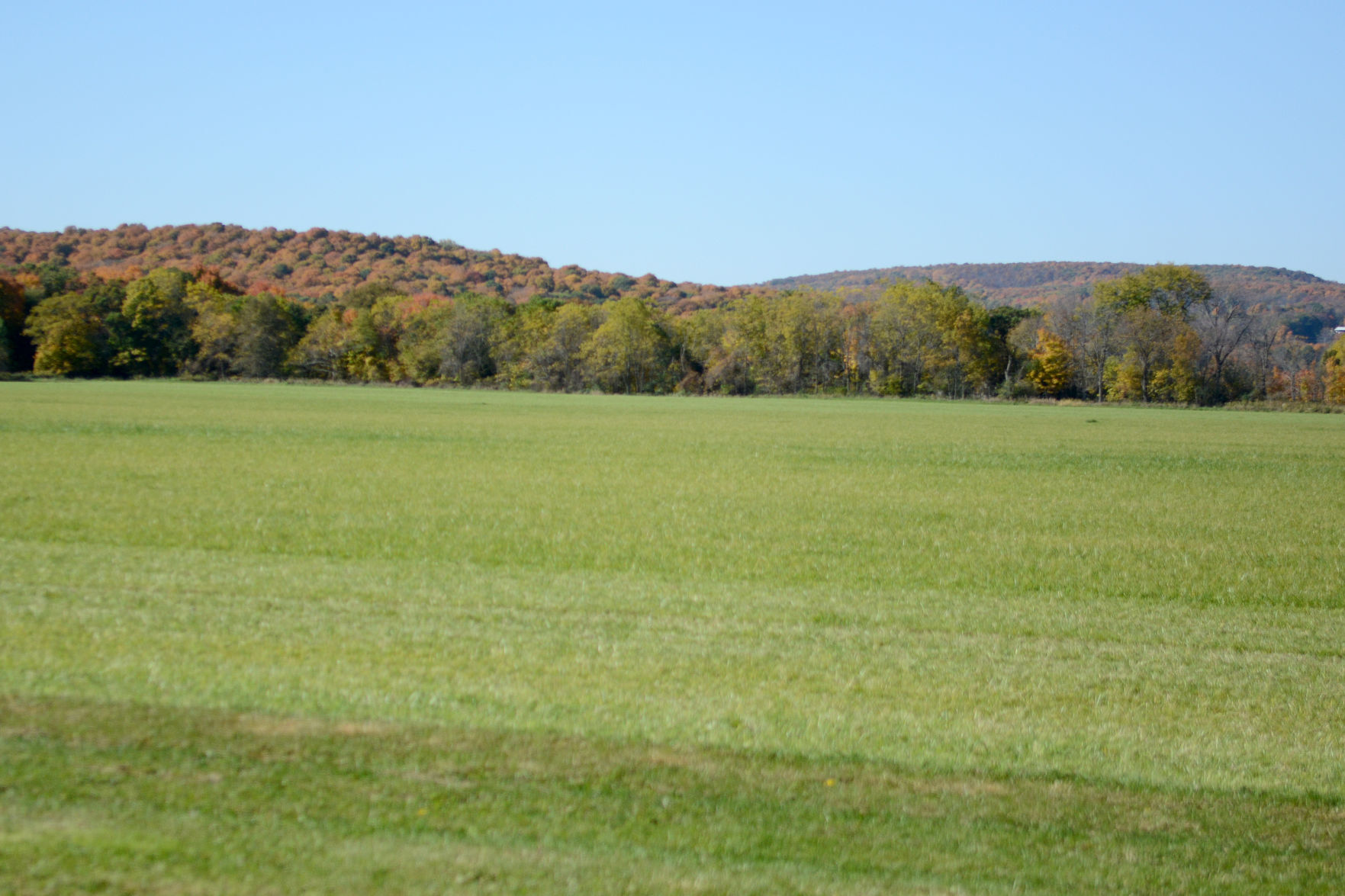Baraboo area fall color, Oct. 8, 2020